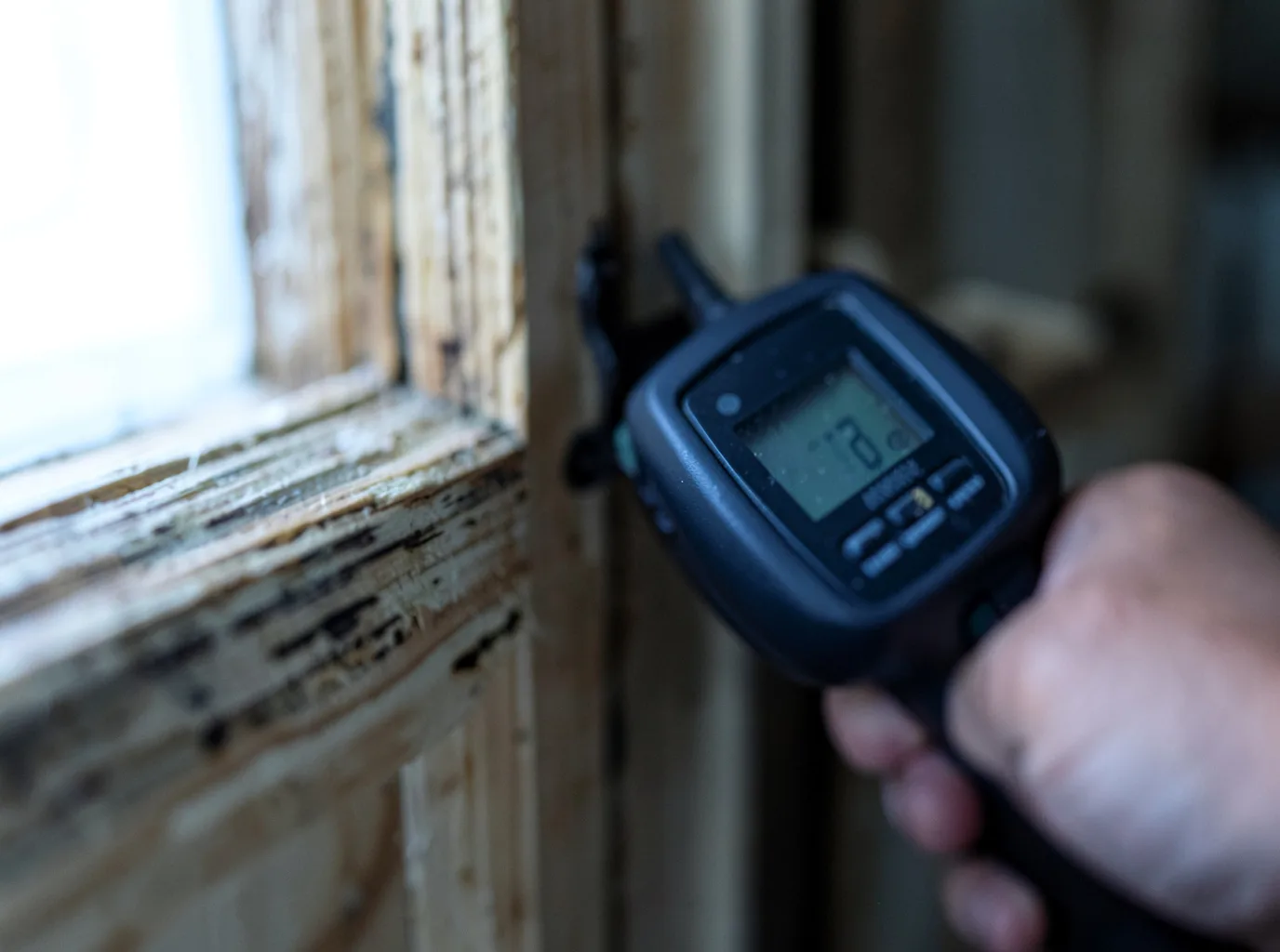 Commercial Water Damage Restoration in Grace City, ND